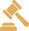 Regulatory Experience Icon